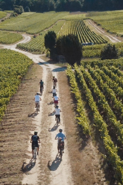 Champagne Region : Ebike Tour With a Local Guide ! - Booking and Cancellation Policy