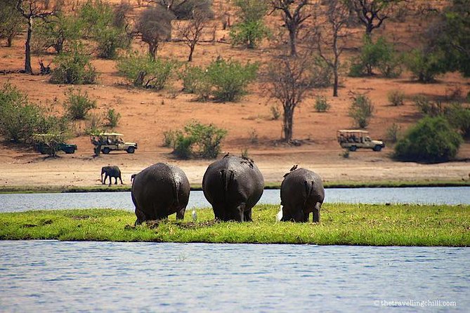 Chobe Safari Day Trip From Livingstone - Safari Itinerary