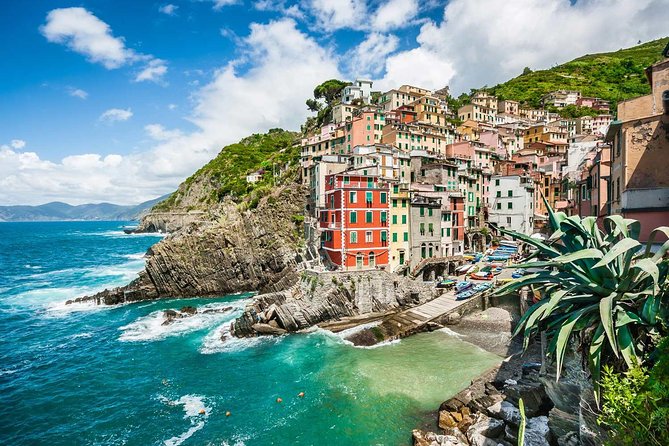 Cinque Terre Small Group Tour From Viareggio-Forte Dei Marmi - Tour Reviews and Feedback