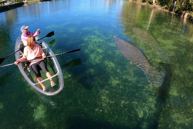 Clear Kayak Manatee Ecotour of Crystal River - Booking and Cancellation Policy