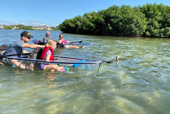 Clear Kayak Tour of Shell Key Preserve and Tampa Bay Area - Unique Paddling Experience