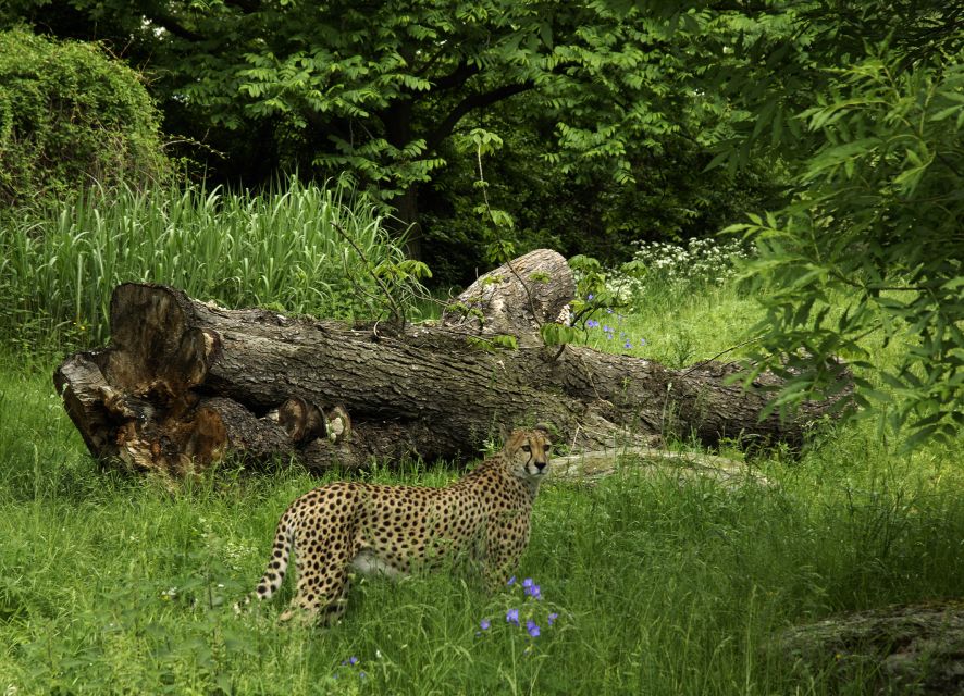 Cologne: Cologne Zoo and Aquarium Entry Ticket - Accessibility for Visitors