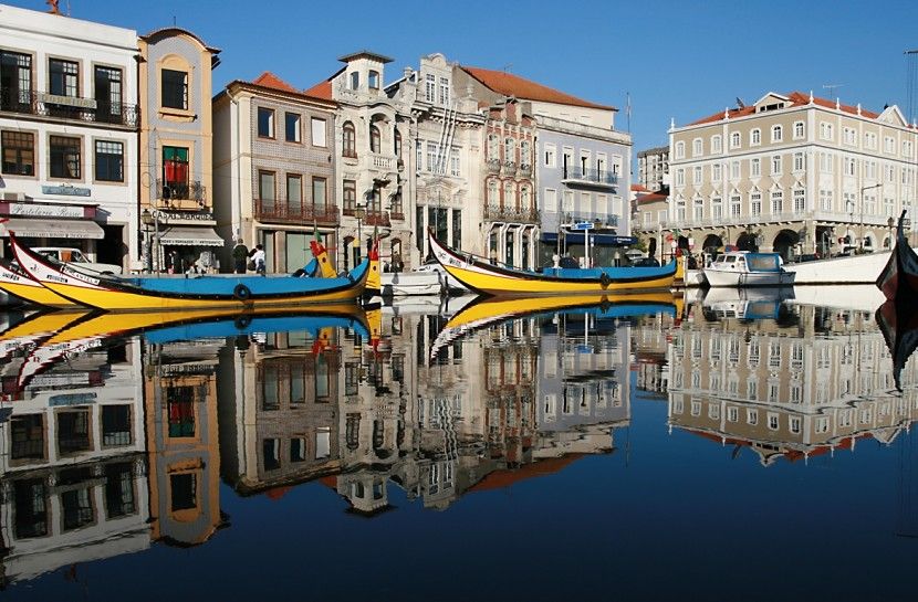 Combo: Porto City Half-Day Tour & Aveiro Half-Day Tour - Porto City Tour