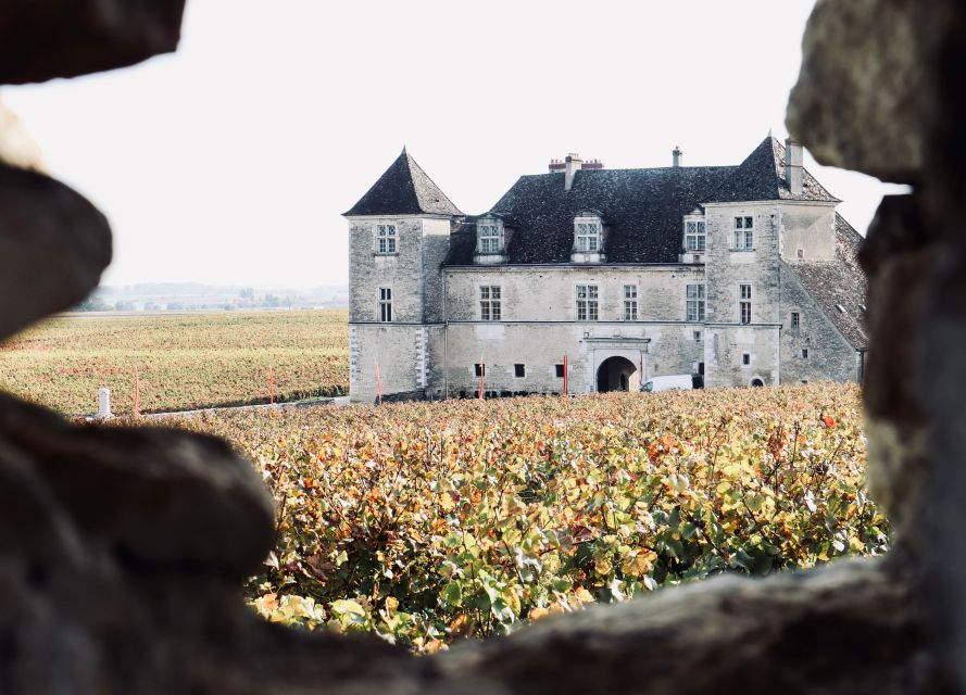 Côte De Beaune and Côte De Nuits: Private Full-Day Wine Tour - Tour Inclusions