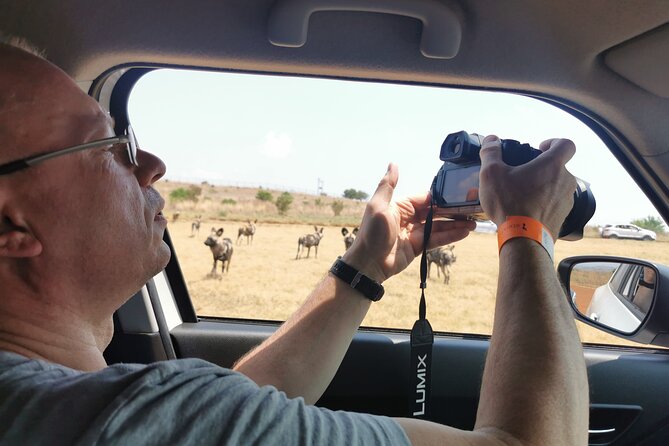 Cradle of Humankind, Caves or Maropeng, Rhino and Lion Park - Animal Feeding