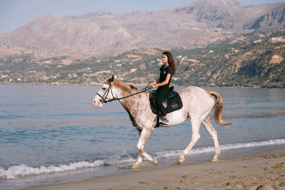 Crete Horse Riding: Plakias Beach Ride - Riding Level and Skill