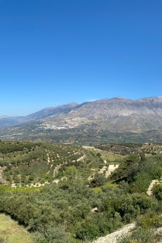 Crete: Jeep Safari, Mountains, Goat-Keeping & Cheese Making - Enjoying Lunch and a Swim