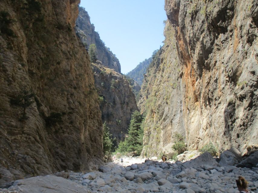 Crete: Private Guided Trek to Samaria Gorge With Transfer - Natural Beauty and Highlights