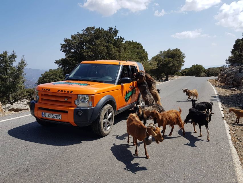 Crete: Sarakina Gorge, Forests, and South Coast Safari - Pickup Locations