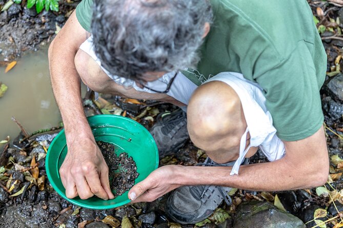 Czech Garnet Panning With Animal Farm, Lunch 4WD Trip From Prague - Booking and Confirmation