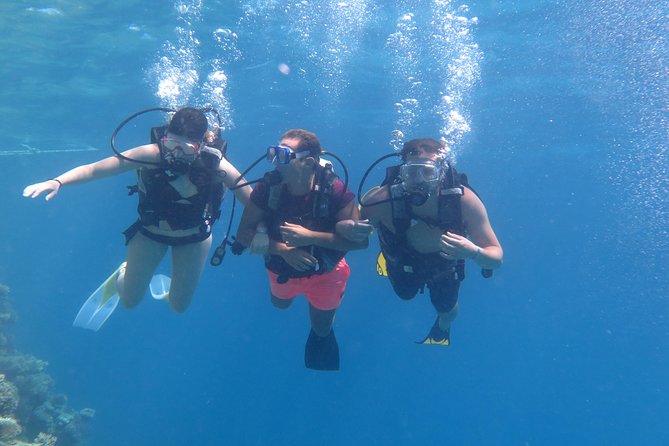 Daily 2 Dives With Equipment From Hurghada - Cancellation Policy