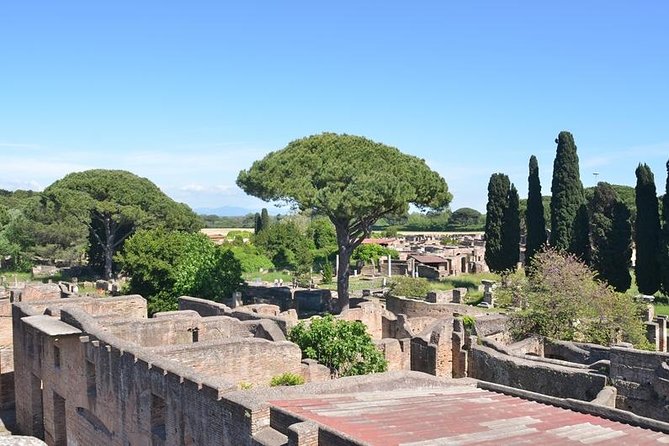 Daily Life in Ostia Antica (Private Tour) - Reviews and Testimonials