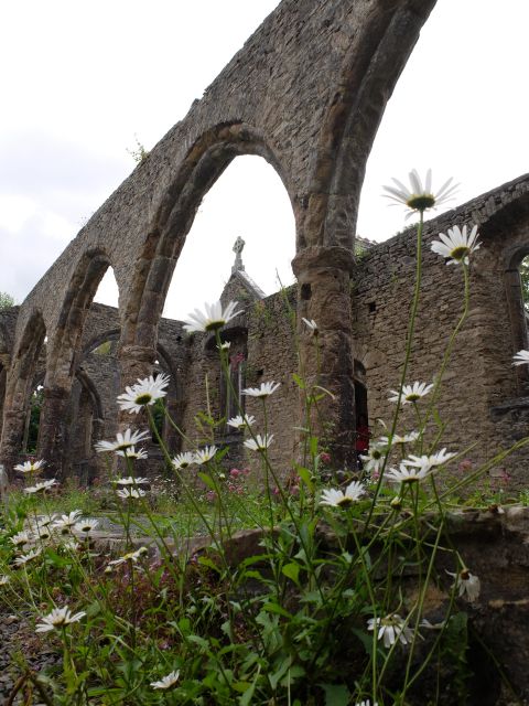 Dartmoor: Hound of the Baskervilles Experience - Widecombe in the Moor