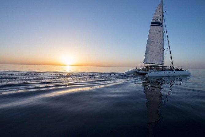 Day Catamaran Trip: Cap Des Freus and Llevant Natural Park - Booking and Price Details