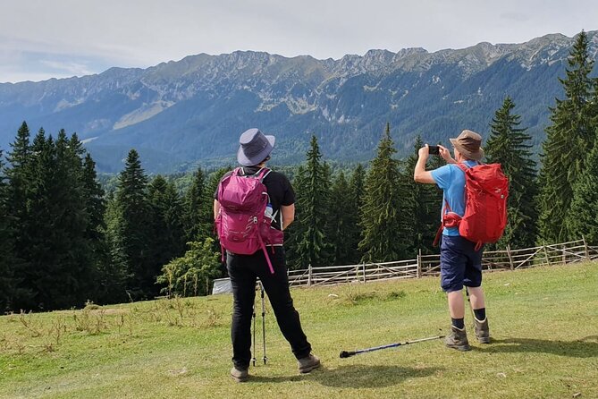 Day Hike in Carpathian Mountains for All Levels in Five Areas - Fagaras Mountains