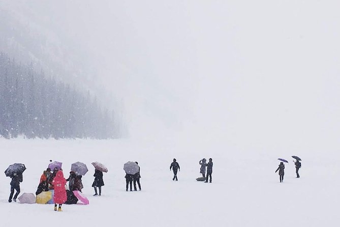 Day Hike in Lake Louise - Inclusions and Exclusions