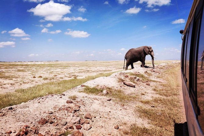 Day Tour to Amboseli National Park - Cancellation Policy