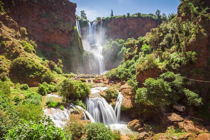 Day Trip to Ouzoud Waterfalls From Marrakech - Photograph the Monkeys