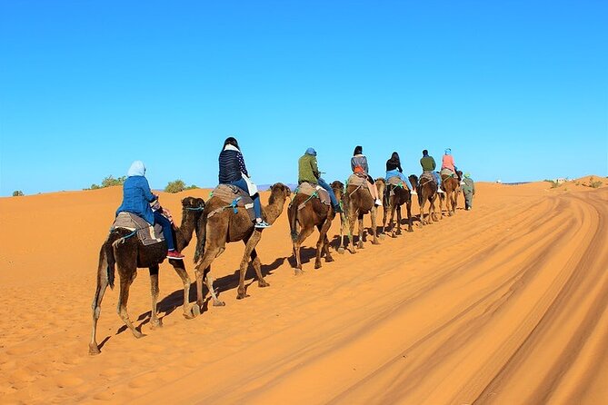 Desert Trip: Fès-Merzouga (1 Night) - Ouarzazat (1 Night) - Marrakech - Pickup and Meeting Details