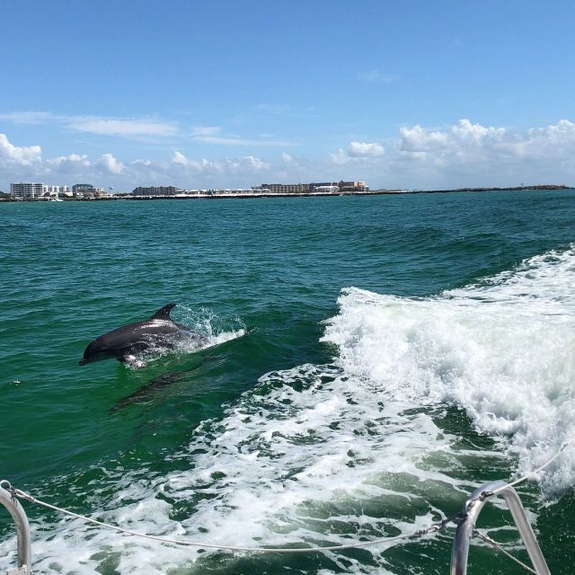 Destin: Dolphin Watch Cruise - Booking and Cancellation