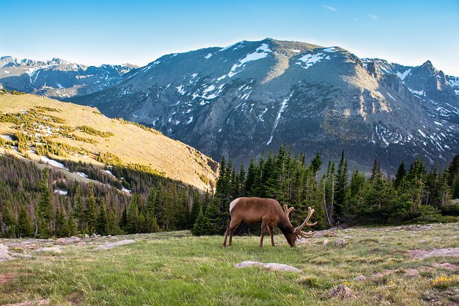 Discover Rocky Mountain National Park - Picnic Lunch Included - Key Points