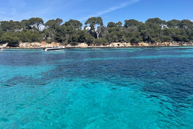 Discover the Lérins Islands and the Bay of Cannes by Private Boat - Pricing and Guarantees