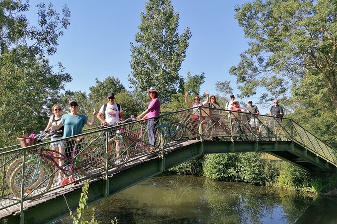 Discovery Day in the Footsteps of the Baudet Du Poitou - Discovering the Baudet Du Poitou