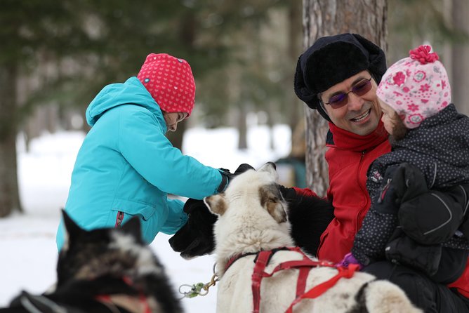 Dogsled Adventure in Mont-Tremblant - Activity Specifications