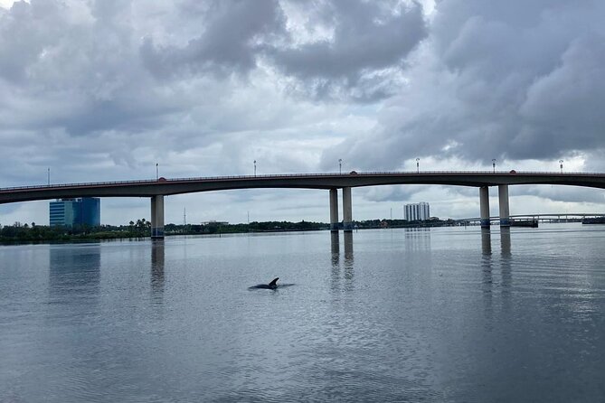 Dolphin and Manatee Stand Up Paddleboard Tour in Daytona Beach - Meeting Point and Transportation