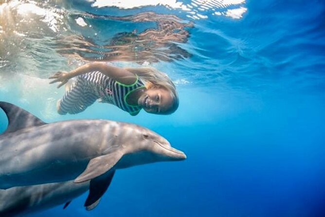 Dolphin House With Snorkeling & Lunch in Hurghada - Boat Cruise and Activities