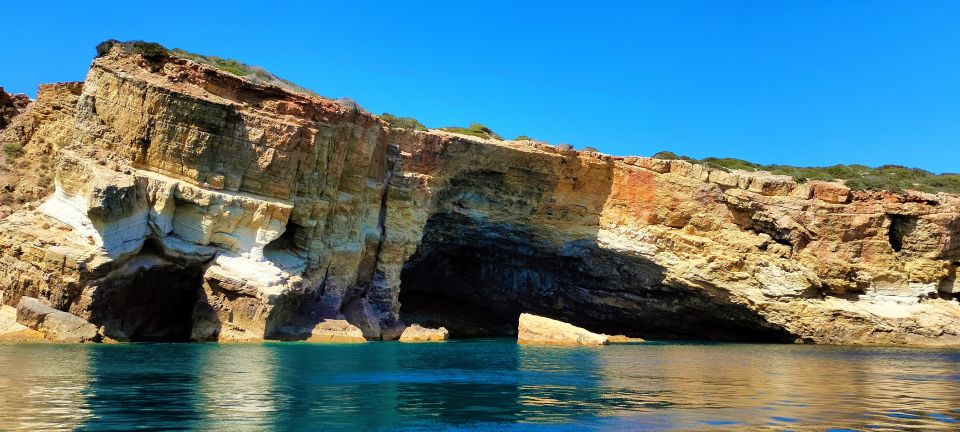 Dolphin Watching and Local Caves - Dolphin Observation