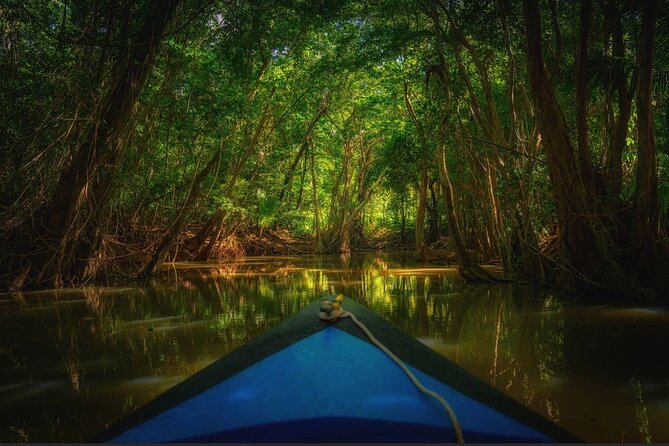 Dominica Indian River Discovery (Includes Lunch) - Booking and Cancellation