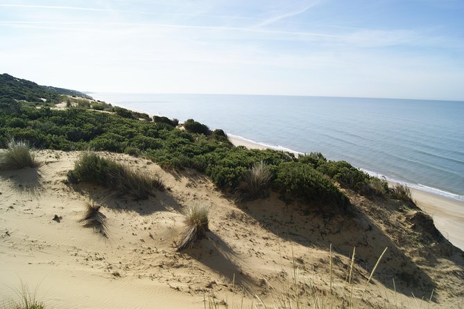 Doñana National Park in 4x4 and El Rocío - Exploring El Rocío