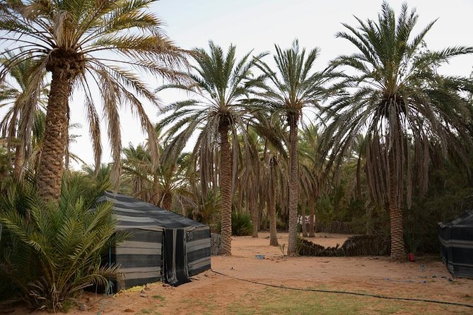 Door of the Tunisian Desert Ksar Ghilane and Matmata: Full One Day - Optional Adventure Activities