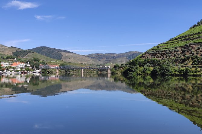 DOURO TOURS - in Pinhão 1 Day All Inclusive 135€, DOURO Valley - Immersive Wine Tastings