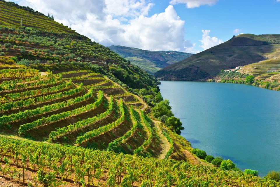 Douro Valley & Amarante - From Porto or Guimarães - Gateway of the Douro Vinhateiro