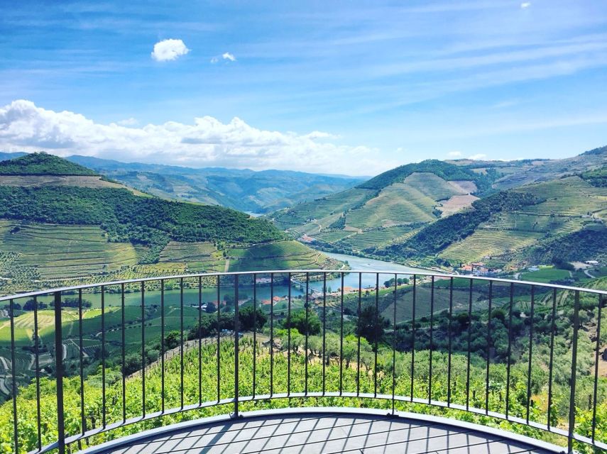 Douro Valley Full-Day Tour With Wine Tasting & Lunch - Pinhão Experiences