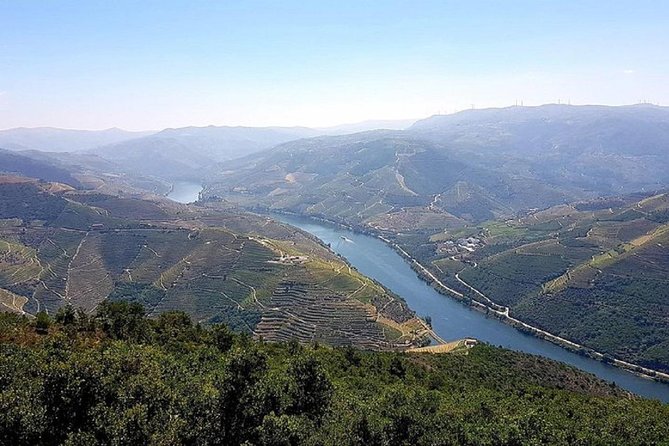 Douro Valley: Private Tour With Lunch and Wine Estate All Inclusive - Vegetarian and Gluten-Free Options