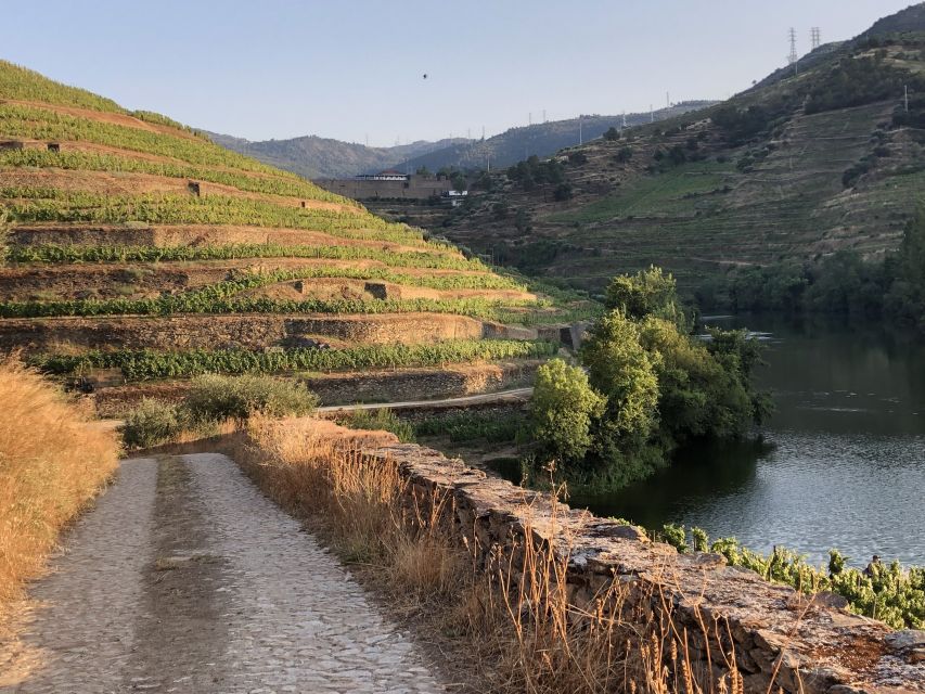 Douro Valley: Quinta Do Tedo Wine Experience With Picnic - Customer Ratings and Highlights