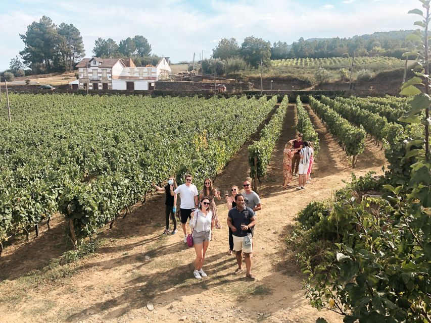 Douro Valley: Small-Group Wine Tasting Tour, Lunch & Boat - Included Features