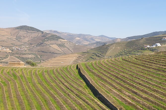 Douro Valley Tour Wine and Breathtaking Views - Exclusions and Additional Information