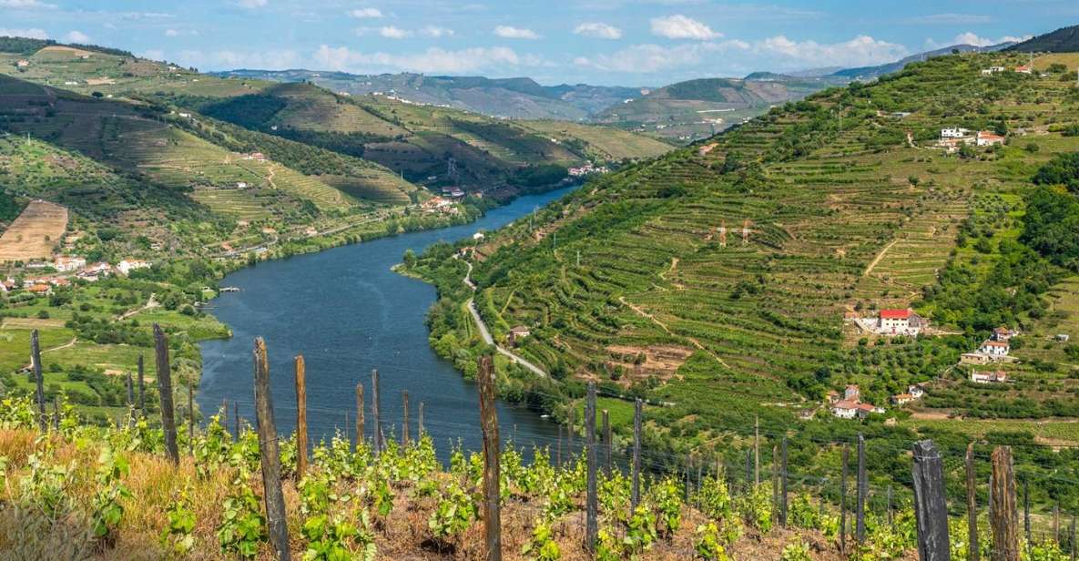 Douro: Wine Tasting and River Cruise Experience - Important Information to Note