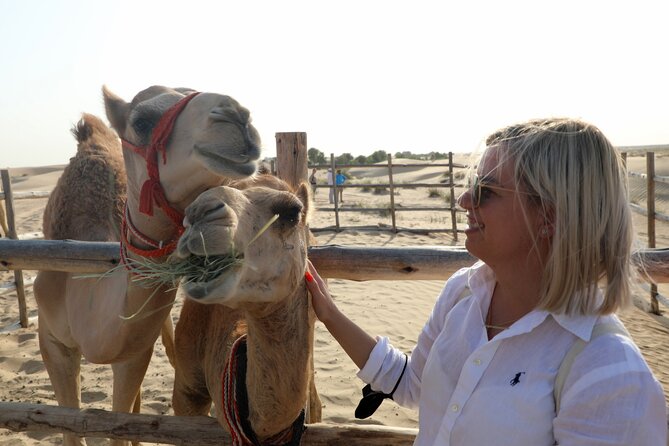 Dubai 4x4 Desert Safari, Quad Bike, Camel Ride & BBQ Dinner - Camel Ride and Sandboarding