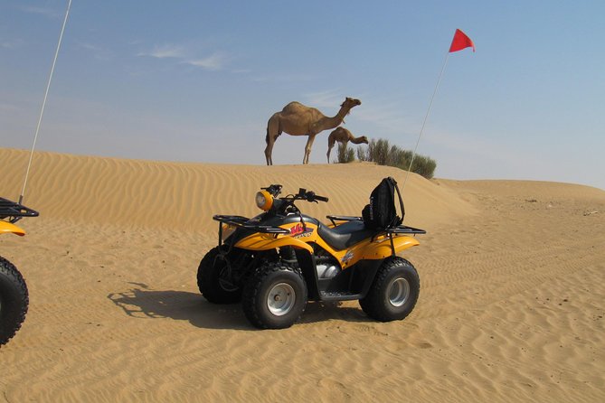 Dubai Desert Afternoon Quad Safari With Camel Ride, BBQ Dinner and Belly Dancing - Belly Dancing and Tanoura Performance