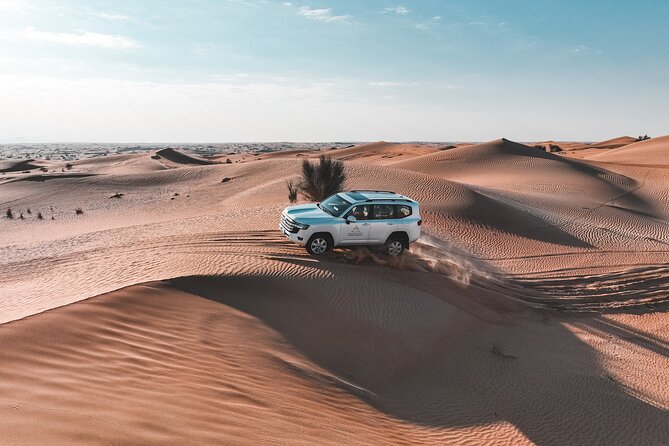 Dubai Desert Safari: Camel Ride, Sandboarding, BBQ & Soft Drinks - Sustainability Efforts