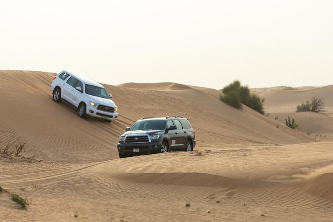 Dubai Desert Safari With Quads, BBQ Dinner, Camel Ride, & Shows - Hotel Pickup and Drop-off