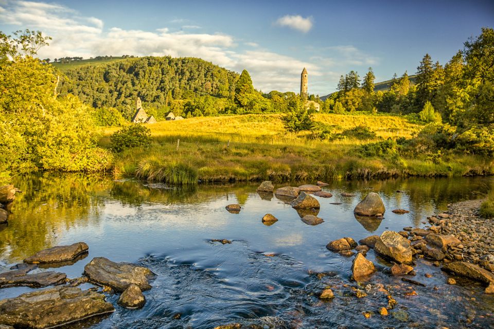 Dublin: Kilkenny, Wicklow & Glendalough Tour & Sheepdog Show - Sheepdog Show Experience