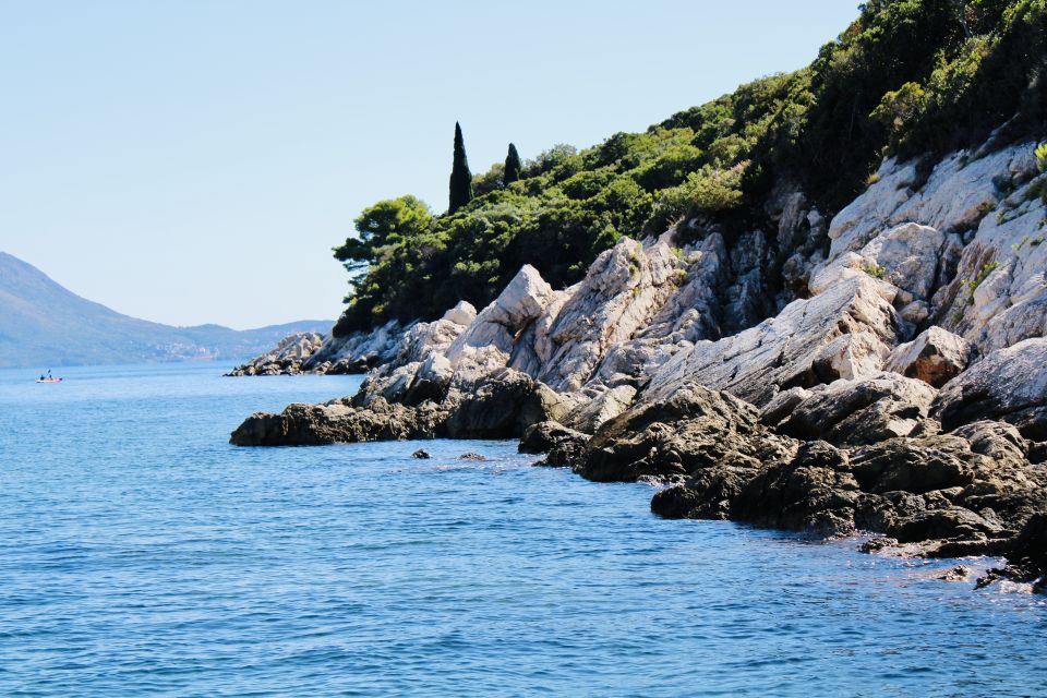 Dubrovnik: Lokrum Island and Betina Cave Boat Tour - Customer Reviews and Feedback