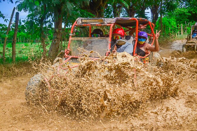 Dune Buggies and Horseback Riding - Tour Highlights and Activities