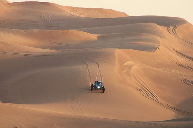 Dune Buggy Ride in Red Dunes + Desert Safari- Private Experience - Highlights of the Dune Buggy Ride